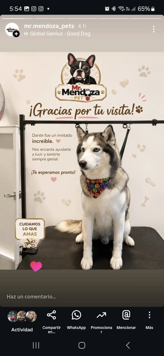 Dante en Mr Mendoza Pets