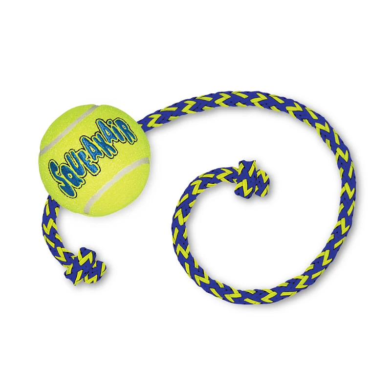 Squeak Air ball with rope md