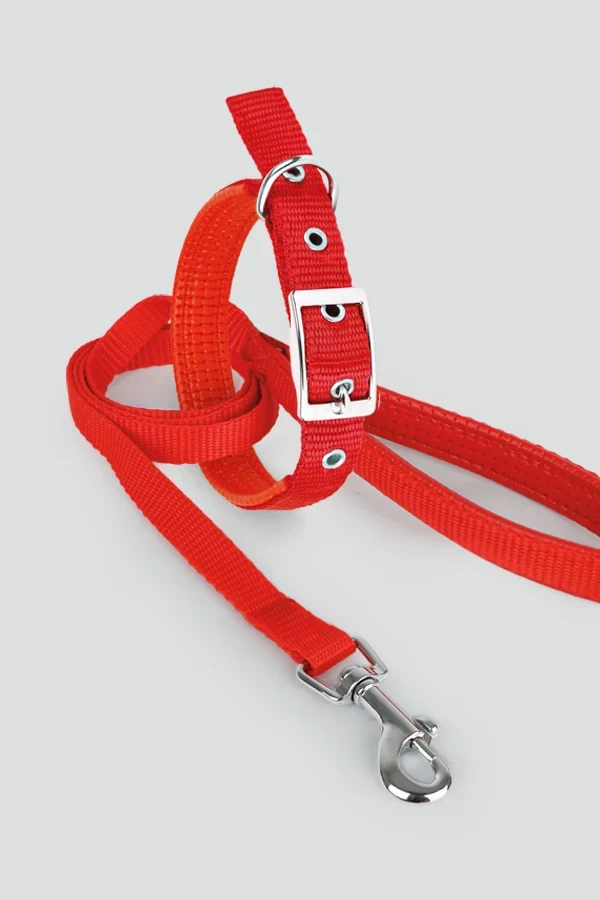 COLLAR Y CORREA SOFT AZUL
