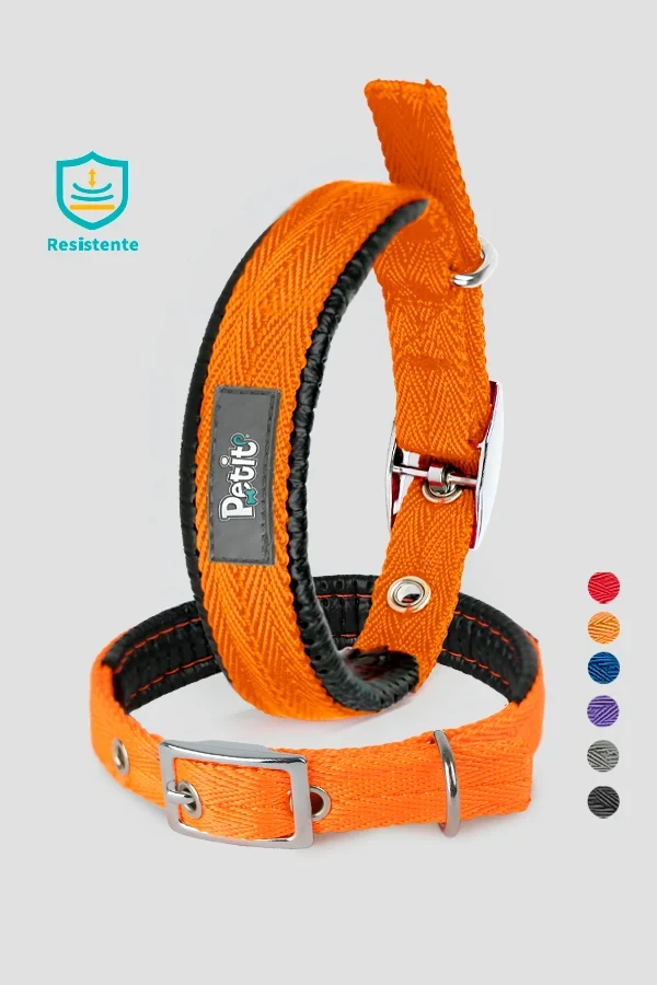 COLLAR CHEVRON CH NARANJA