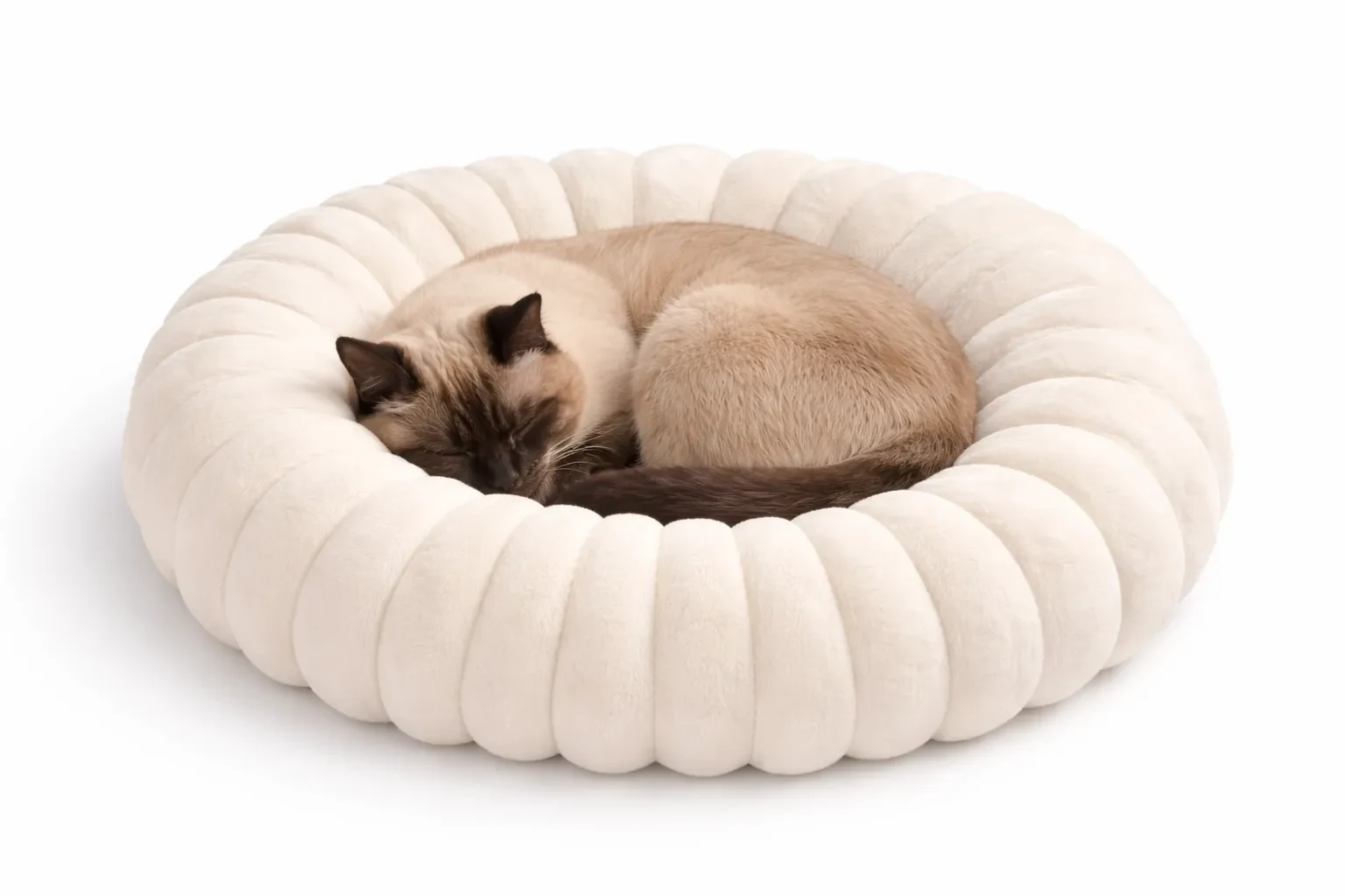 Catto - Cama Nube Gato Hueso